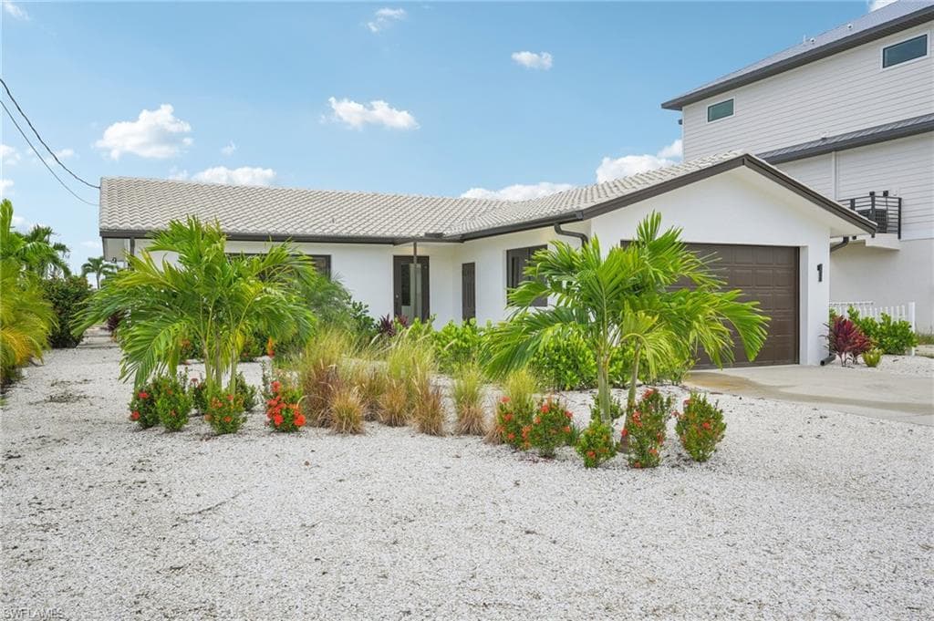 268 Ibis ST-39
