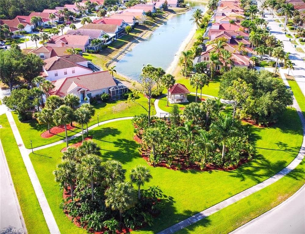 102 Palm Frond CT-14