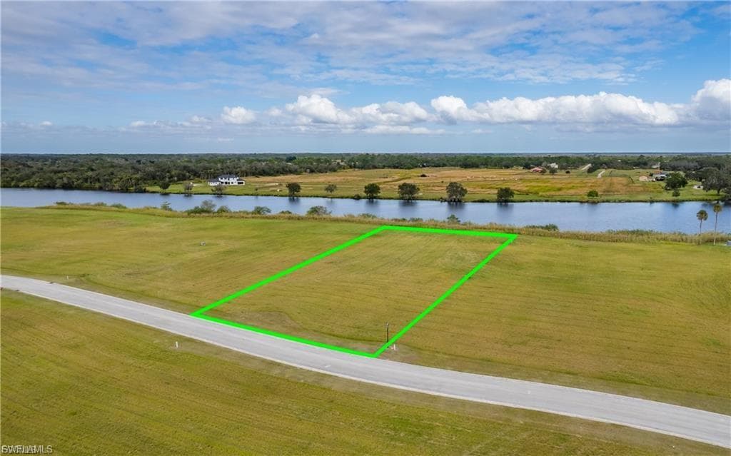 22797 Yellow Button LN-5