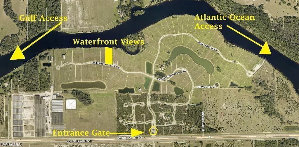 22797 Yellow Button LN-11