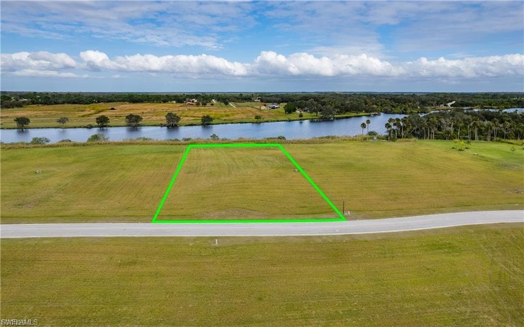 22797 Yellow Button LN-4