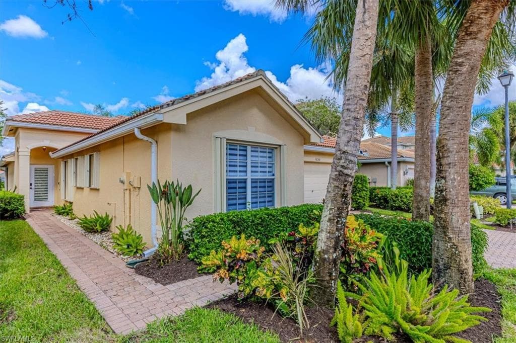 1630 Triangle Palm TER-19