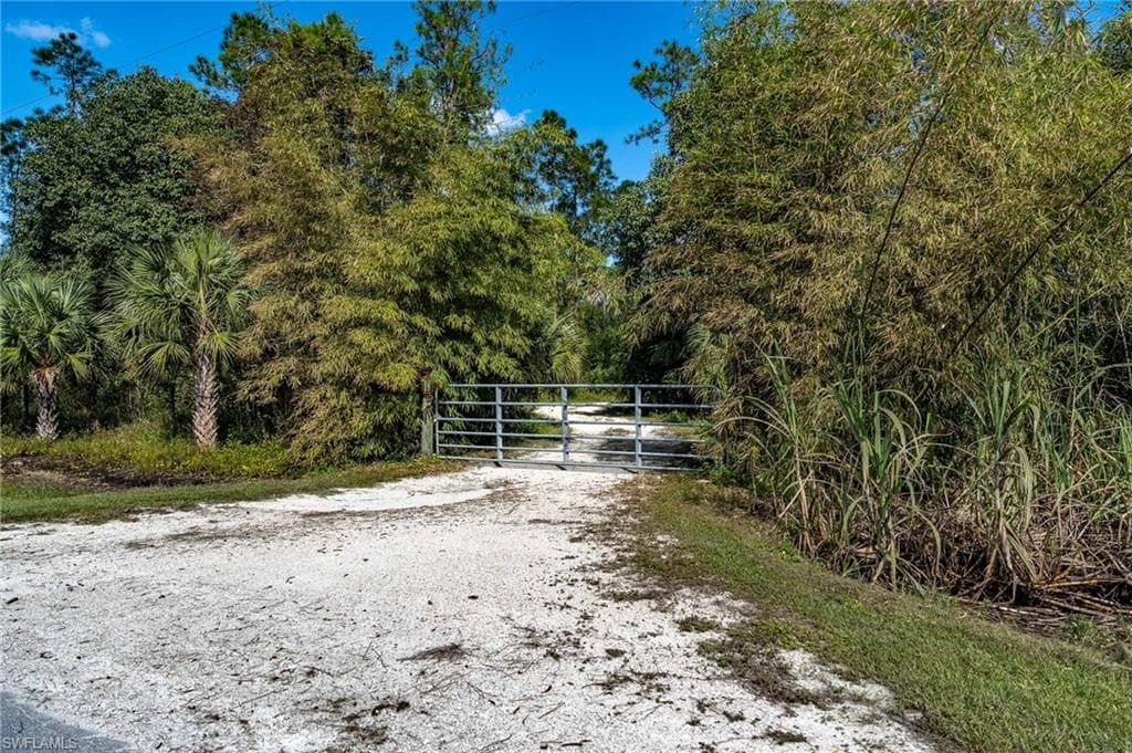 1065 Sanctuary RD-15