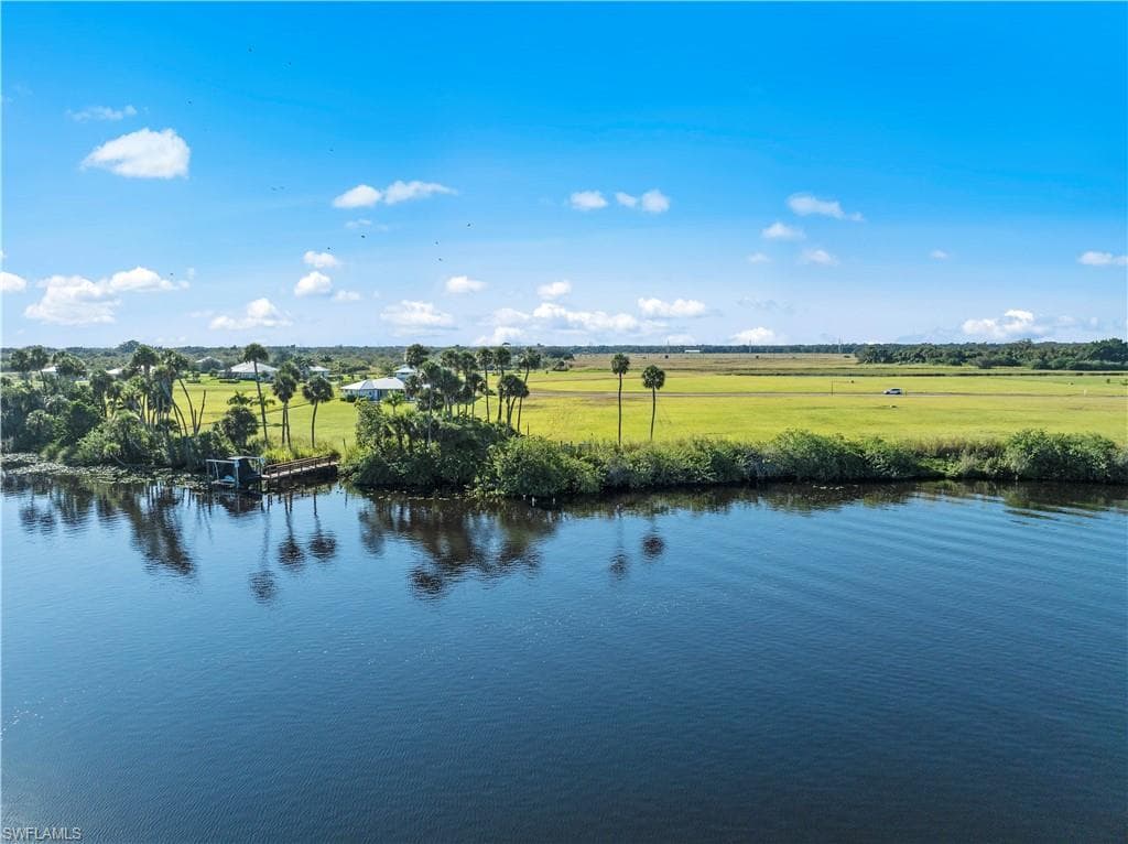 22821 Yellow Button LN-3