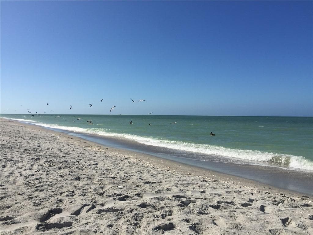 785 Birdie View PT-34