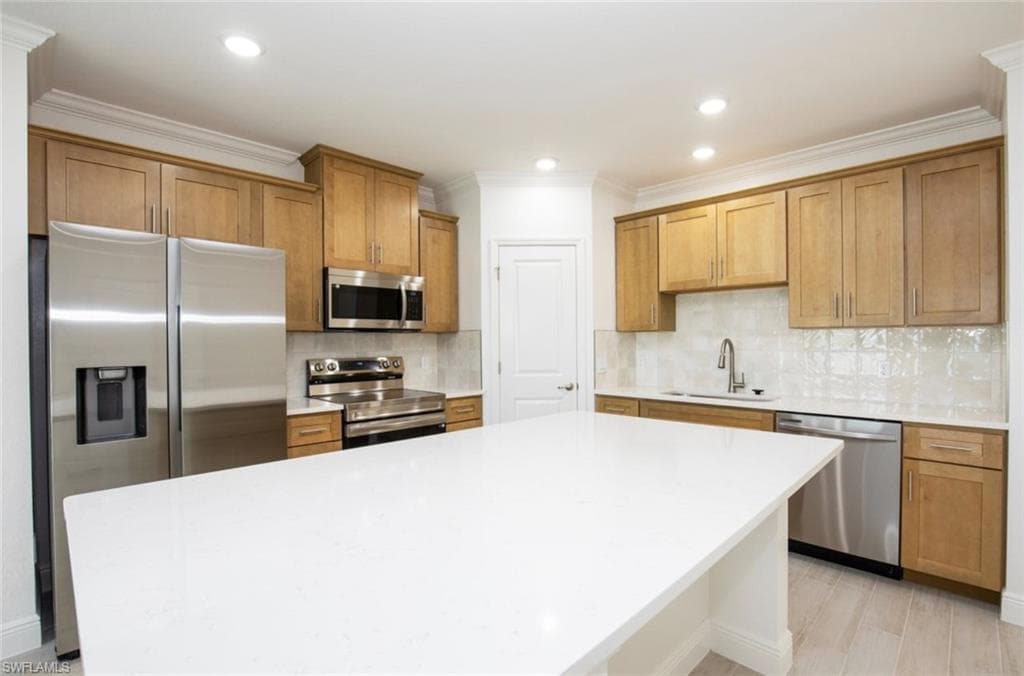 10532 Fountain Palm CIR-4