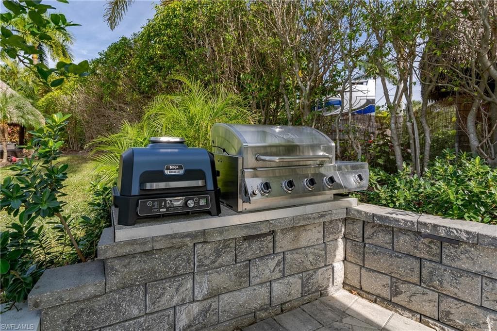 13598 Snapper LN-21