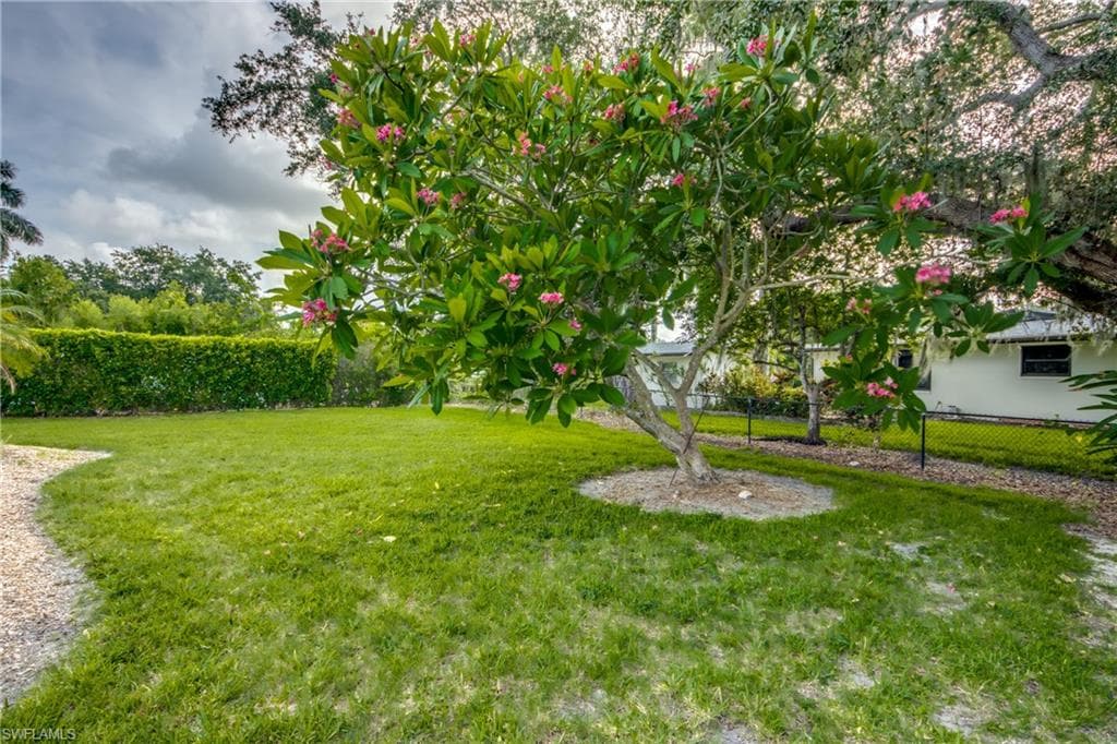 787 Overriver DR-45