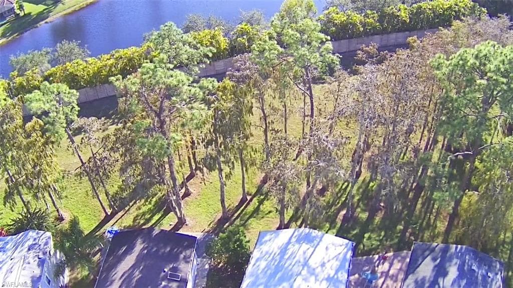91 Vanda Sanctuary 91-33