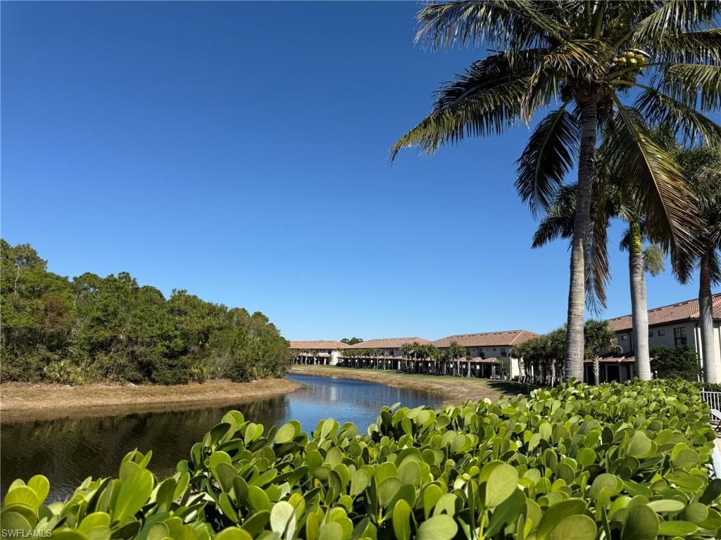 1376 Weeping Willow CT-50