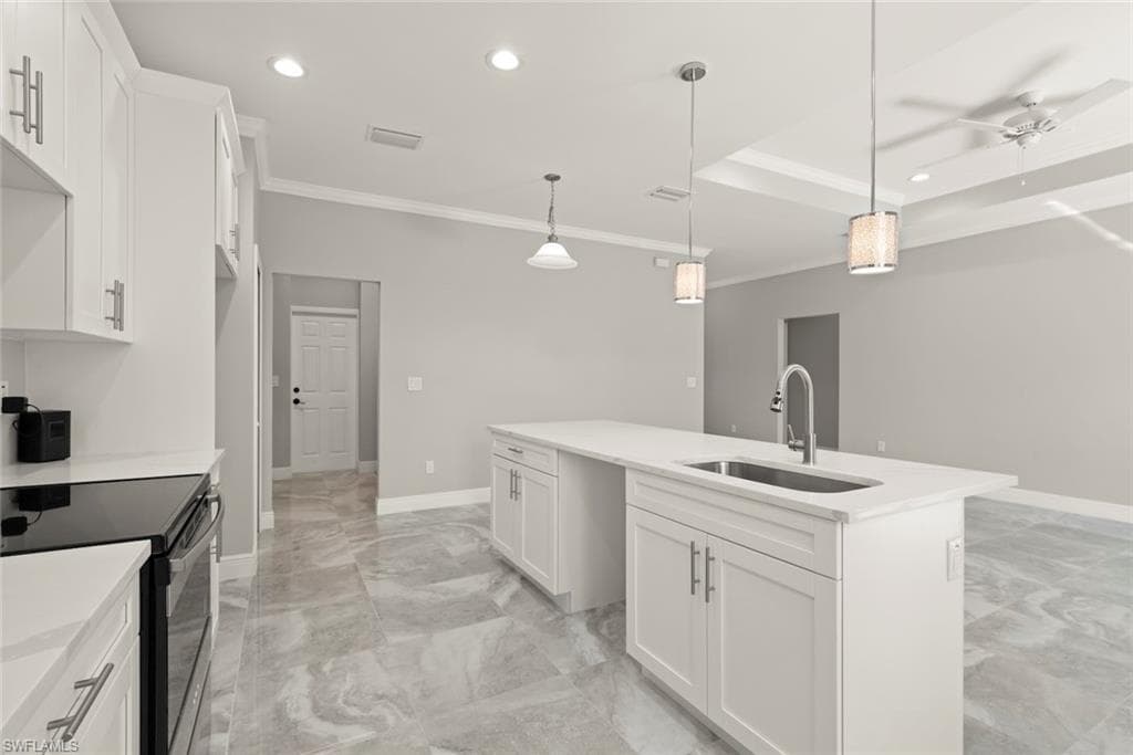 897 Iris DR-22