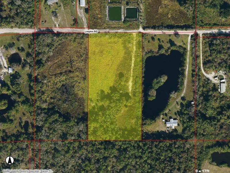 878 Limpkin RD-1