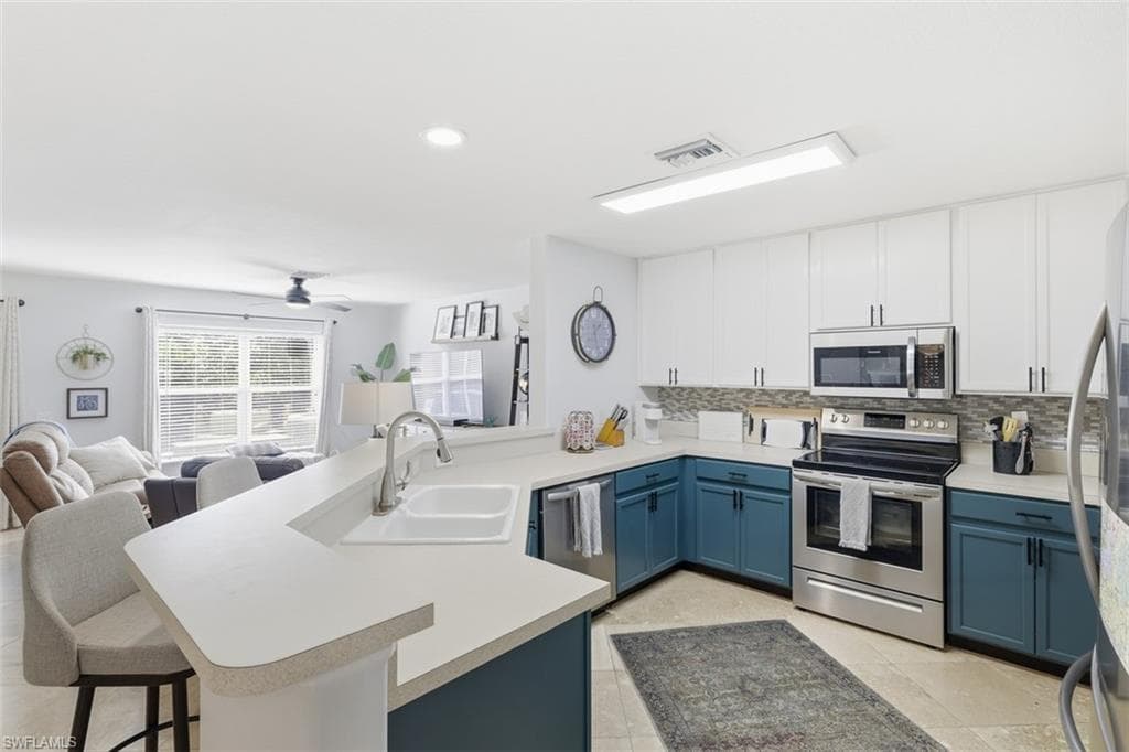 15150 Piping Plover CT 103-1