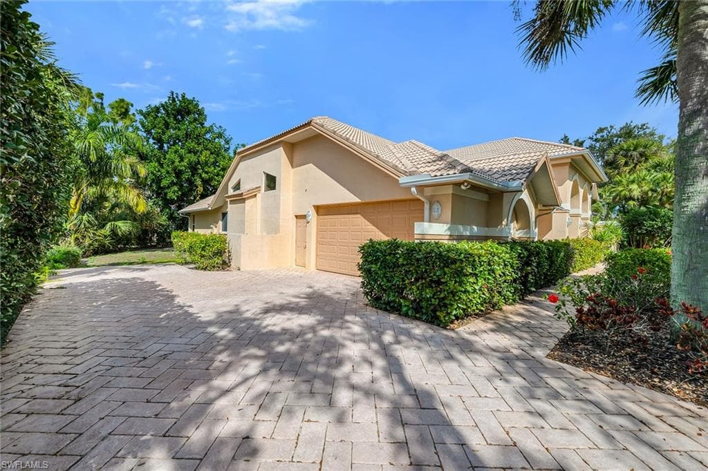 3480 Fiddlehead CT-31