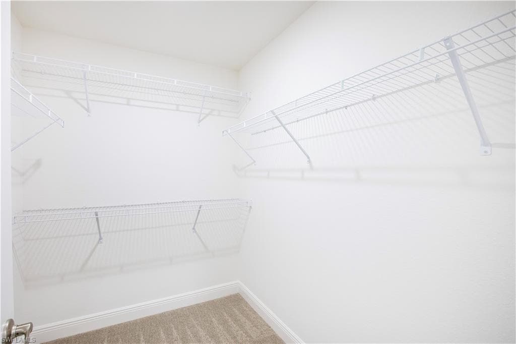 10534 Fountain Palm CIR-11