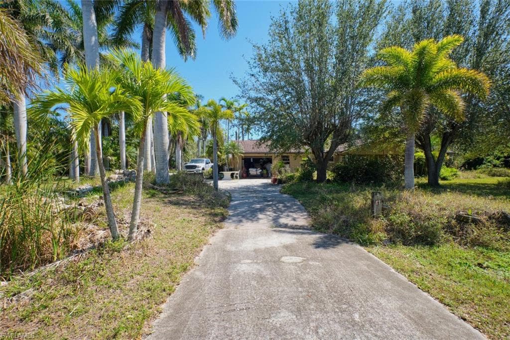 15341 Will Lew LN-6