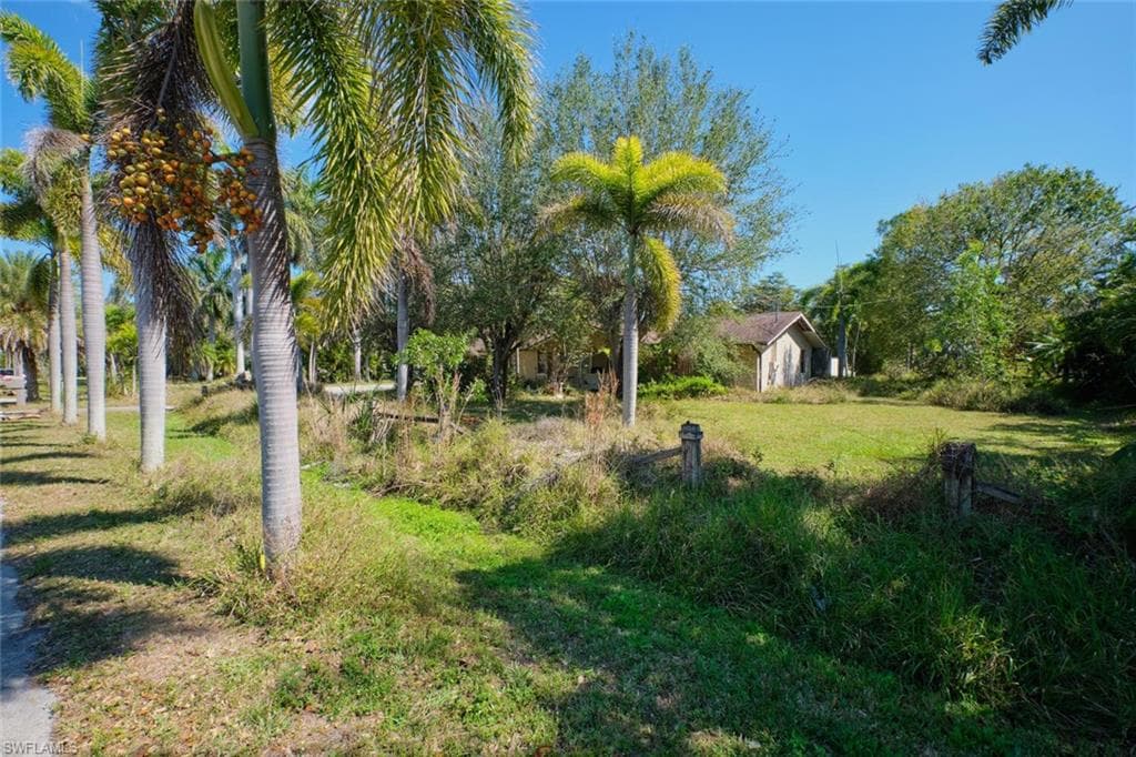 15341 Will Lew LN-7