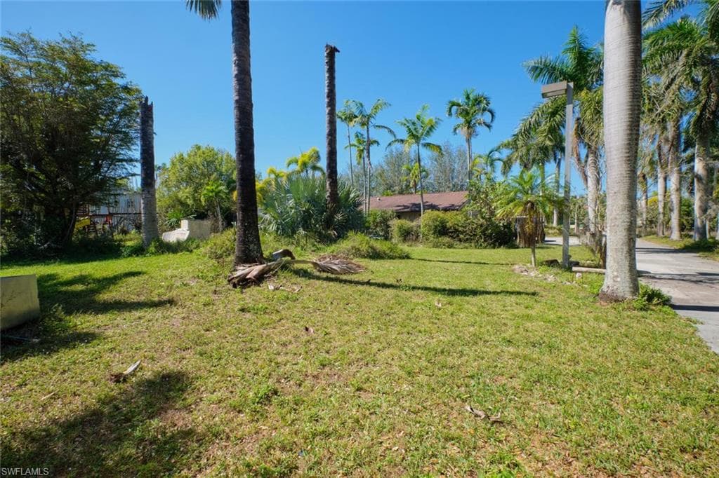 15341 Will Lew LN-33