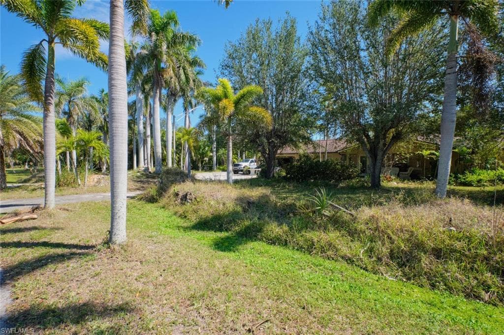15341 Will Lew LN-18