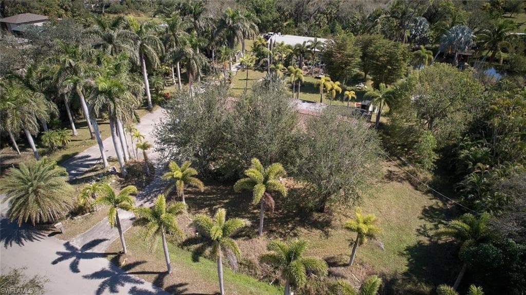 15341 Will Lew LN-11