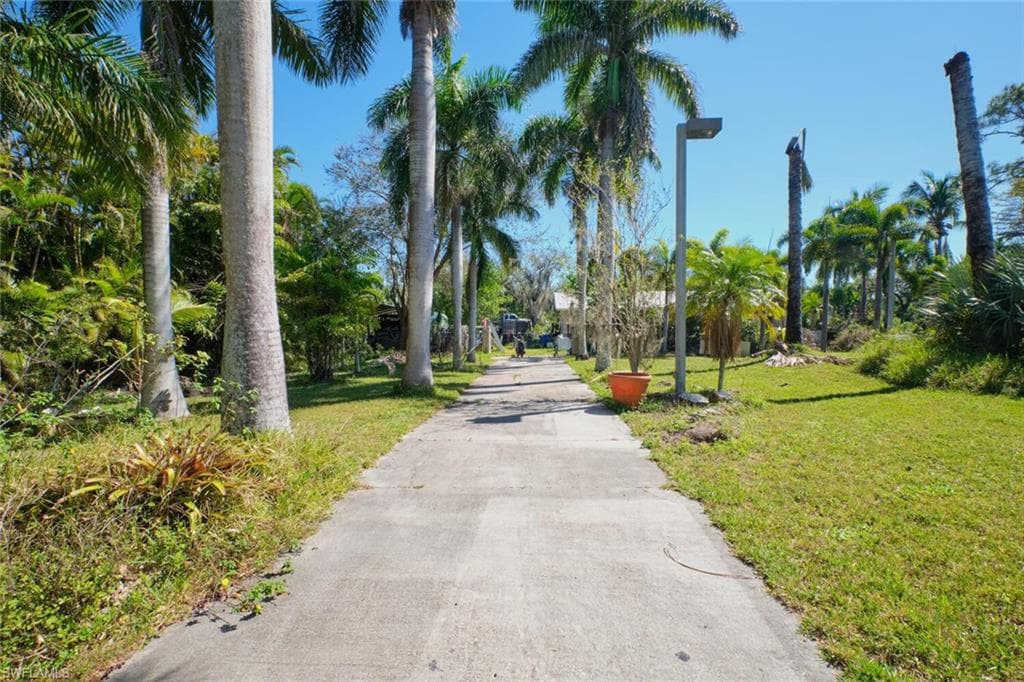 15341 Will Lew LN-31