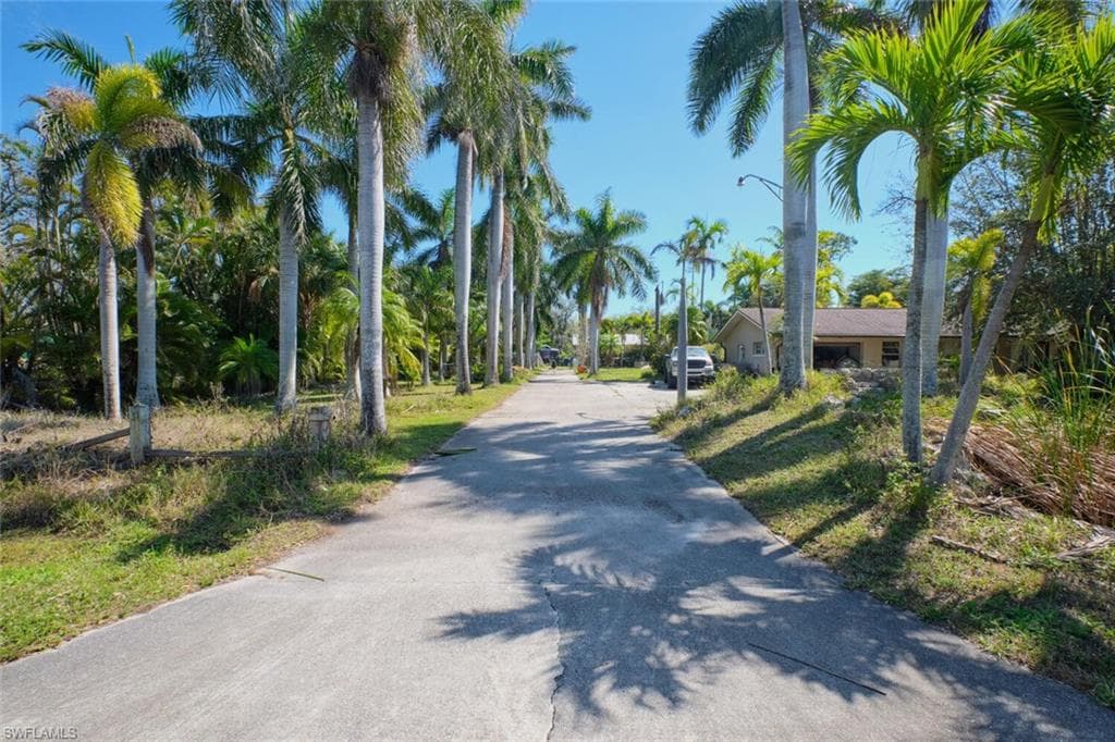 15341 Will Lew LN-8