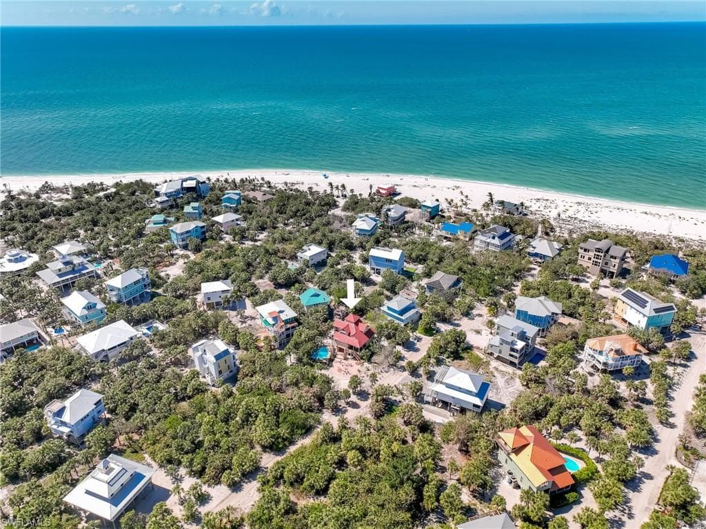 4541 Conch Shell DR-49