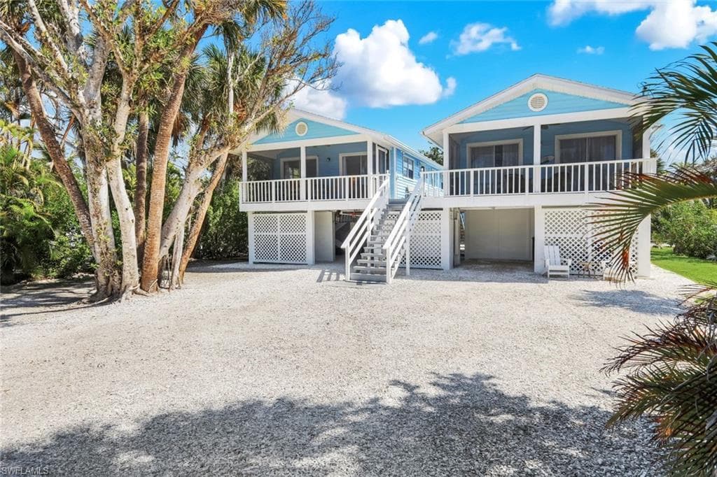 746 Cardium ST-2
