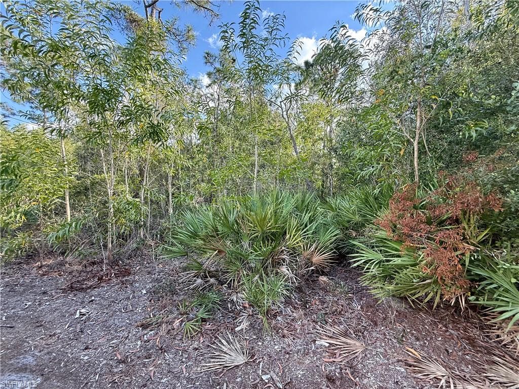 7091 Guava AVE-4