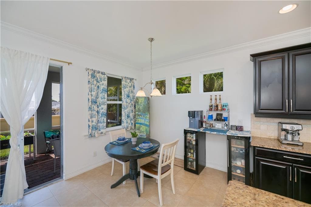 223 Destiny CIR-19