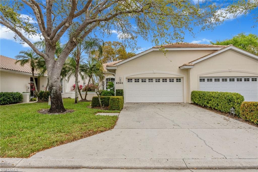 6541 Ilex CIR-1