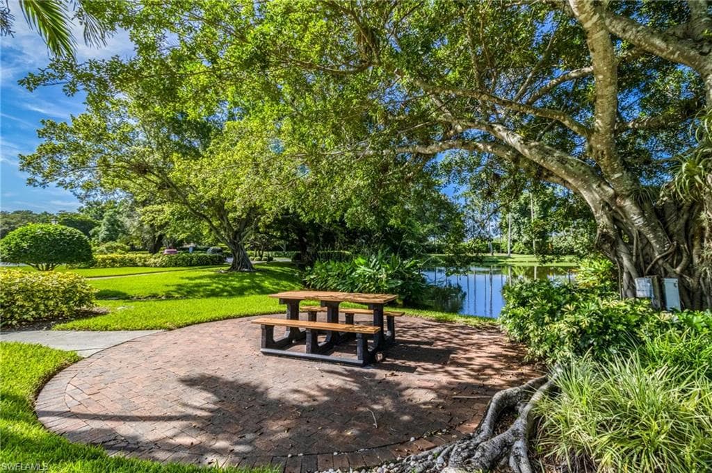 6541 Ilex CIR-29