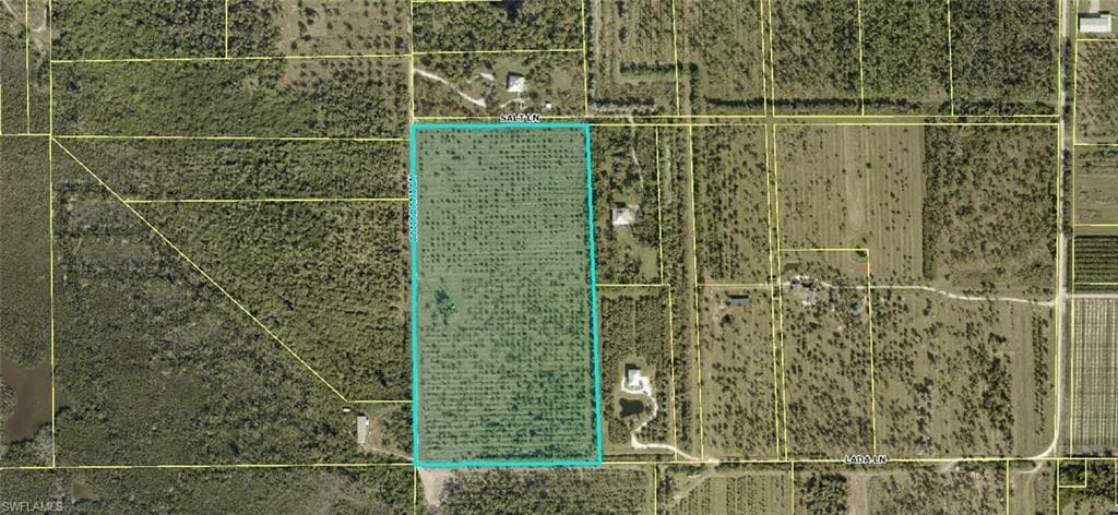 13171 Samadani LN-2