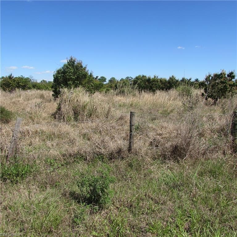 13171 Samadani LN-17