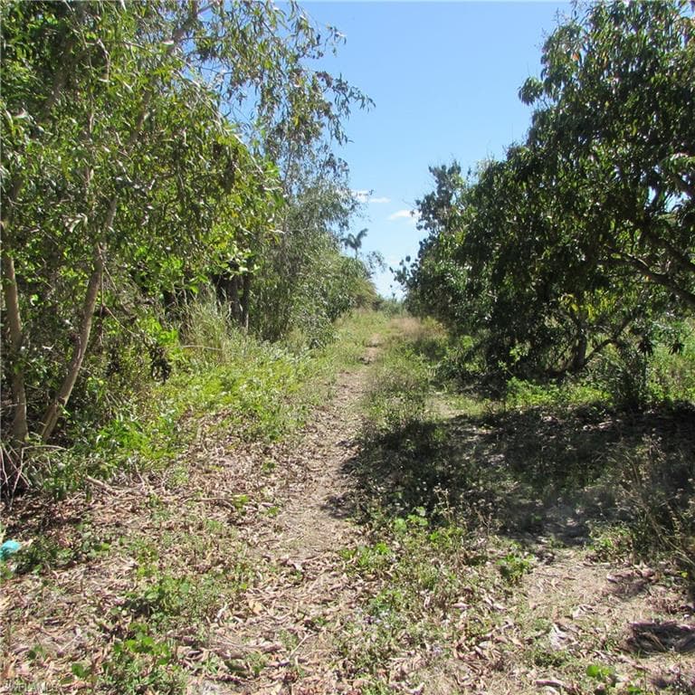 13171 Samadani LN-10
