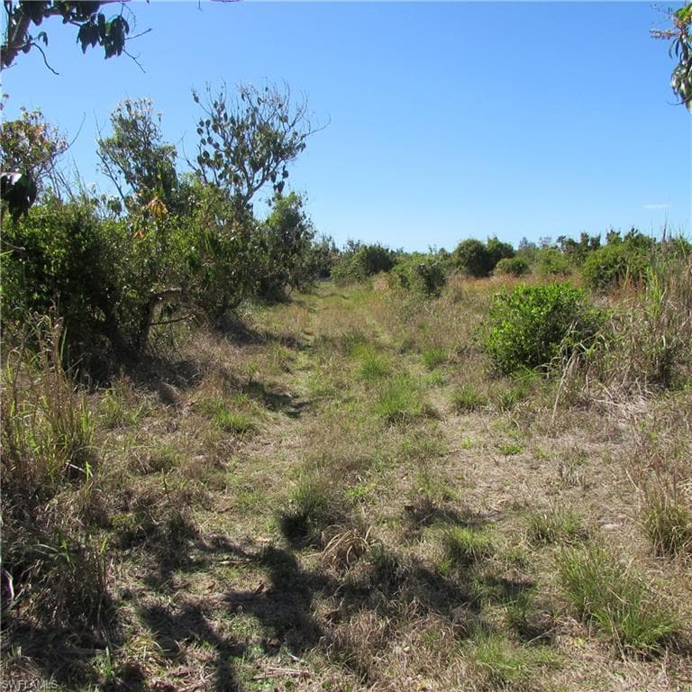 13171 Samadani LN-11