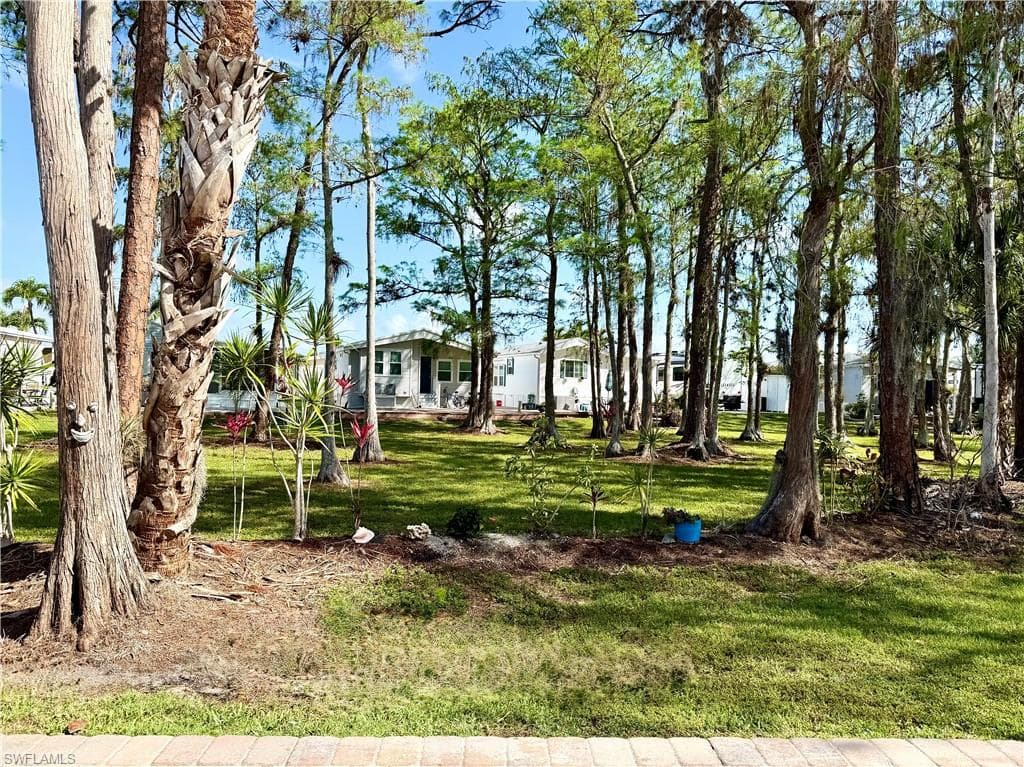 460 Vanda Sanctuary-34