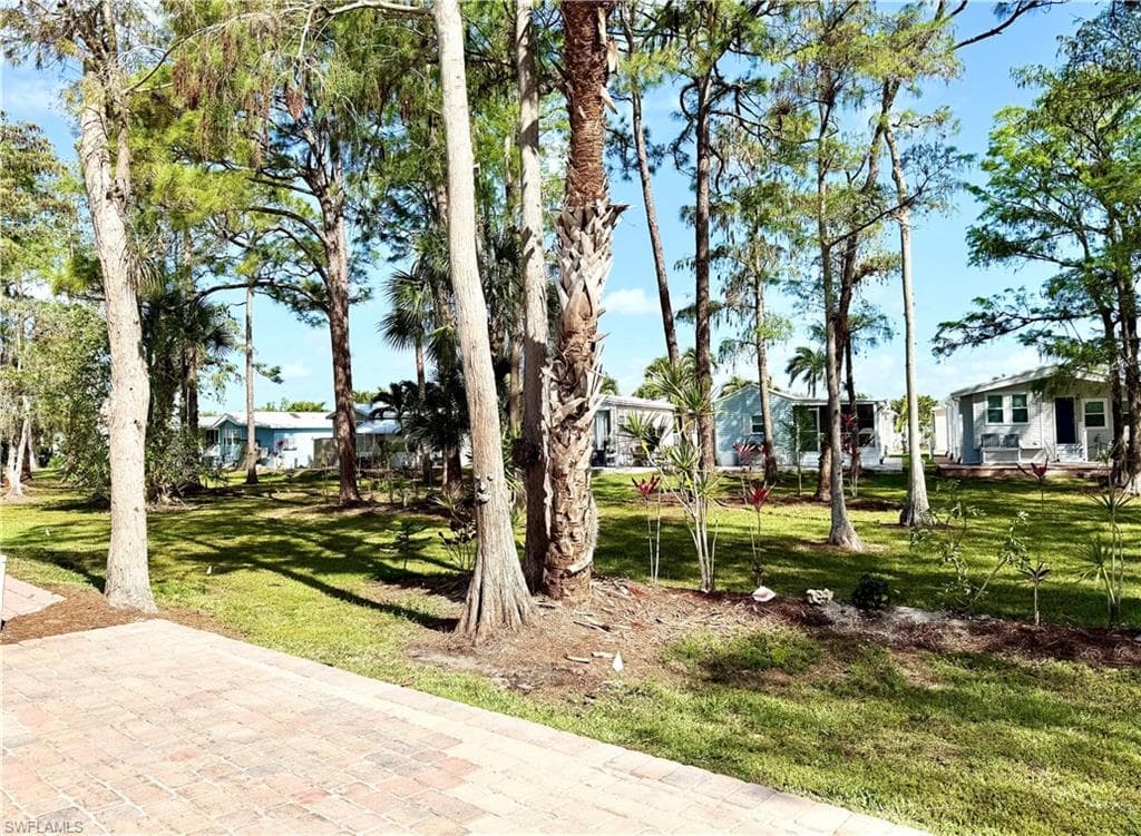 460 Vanda Sanctuary-35
