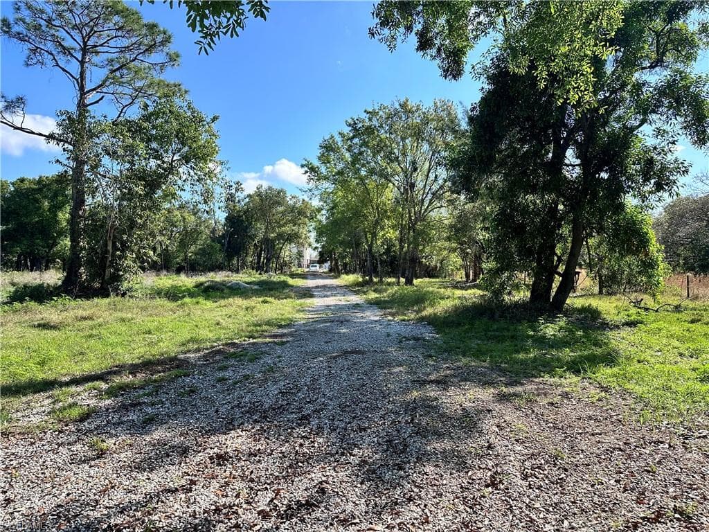 13250 Apaloosa LN-3