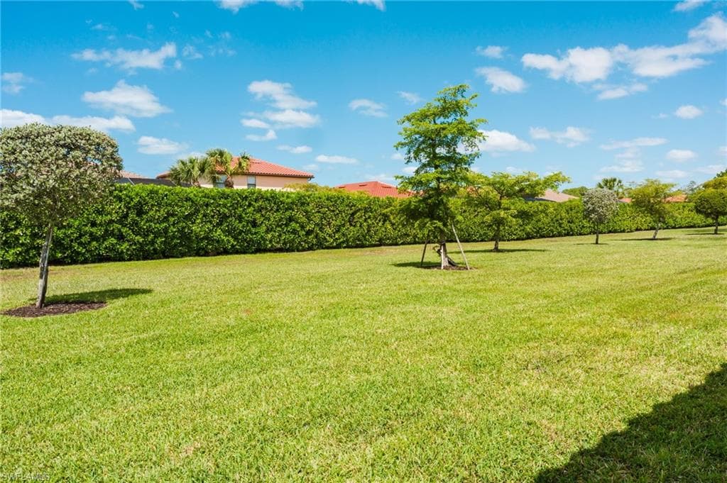 1573 Vizcaya LN-20