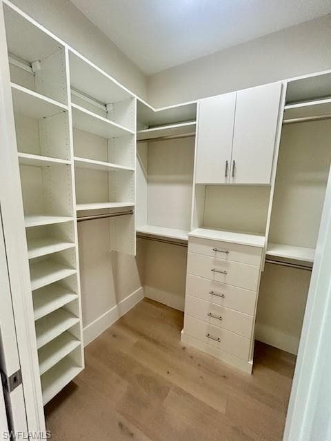 9408 Loquat LN-3