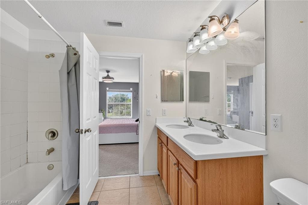 2645 Fishtail Palm CT-20