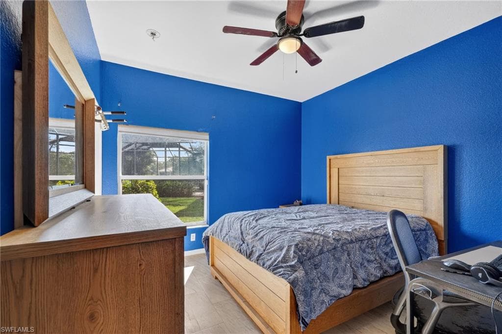 2645 Fishtail Palm CT-15