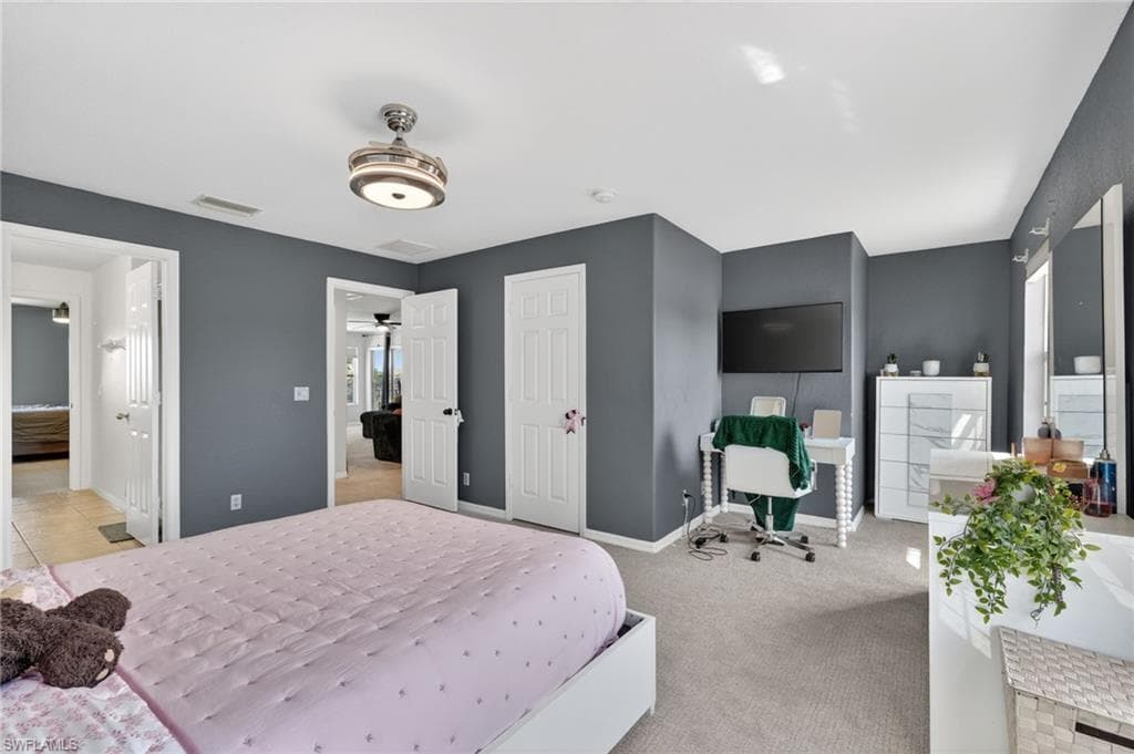 2645 Fishtail Palm CT-19