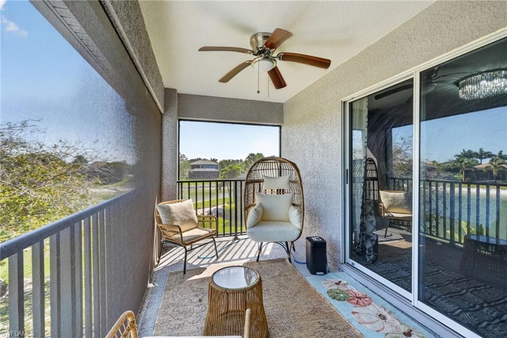 2645 Fishtail Palm CT-29