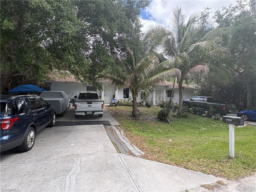 3123 Pine Tree DR-2