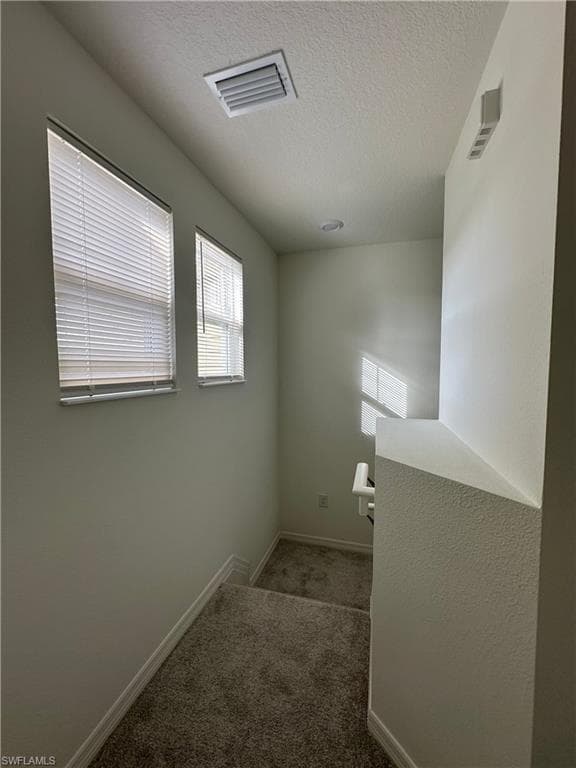 15020 Caspian Tern CT 103-20