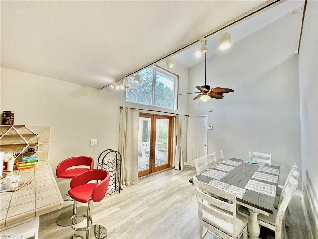 416 Bristle Cone LN-6