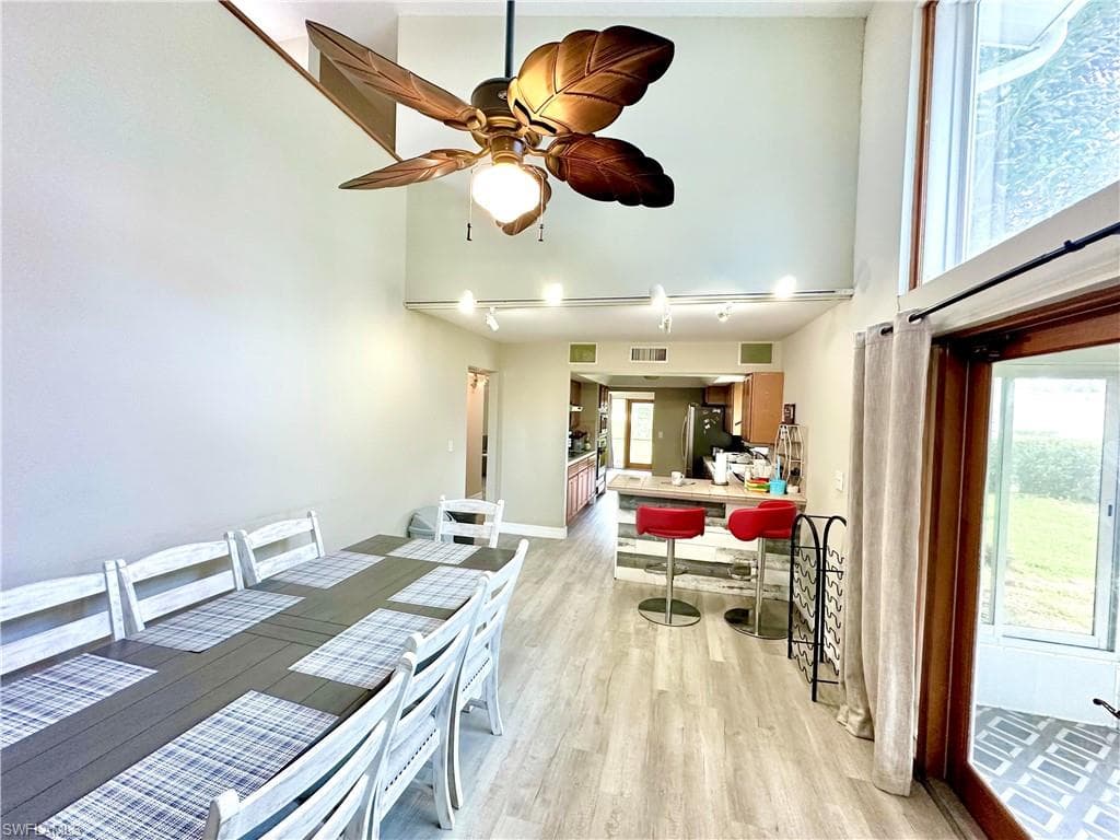 416 Bristle Cone LN-5
