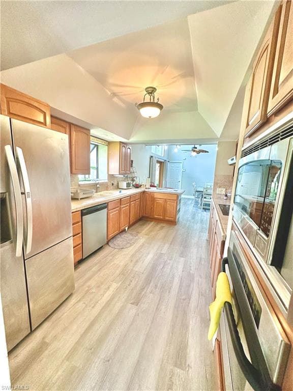 416 Bristle Cone LN-8